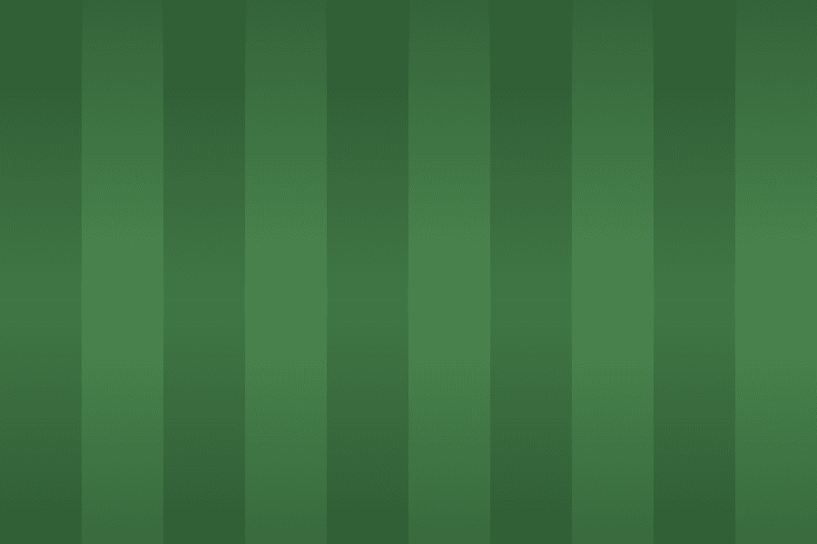 Sample picture: pitch